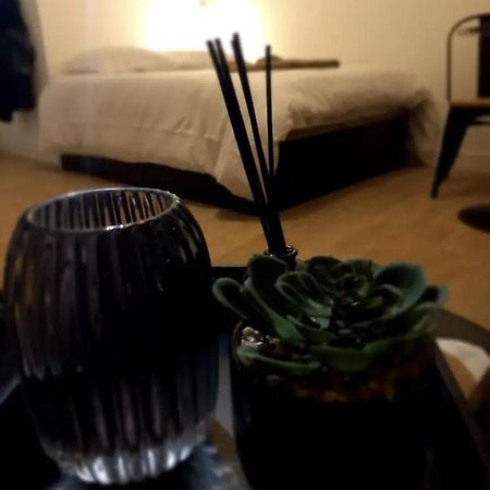 Le 29 Cuty, Wifi, A 3Min De La Gare Sncf Apartment Agen Ngoại thất bức ảnh